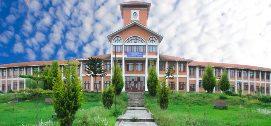 स्ववियुको निर्वाचनमा प्रत्यक्षतर्फ ६४ र समानुपातिकतर्फ ५१ गरी ११५ जनाको उम्मेदवारी